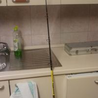 Canna catgear 250W ( no spedizione )