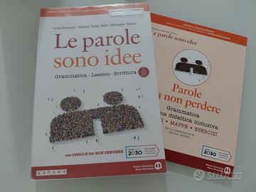 Le parole sono idee.Grammatica, lessico, scrittura