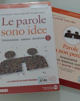 Le parole sono idee.Grammatica, lessico, scrittura