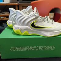 Scarpe da Basket Nike Giannis