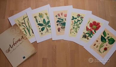 Stampe Silvestri: 6 lito create a fine 800