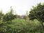 Immagine 19
