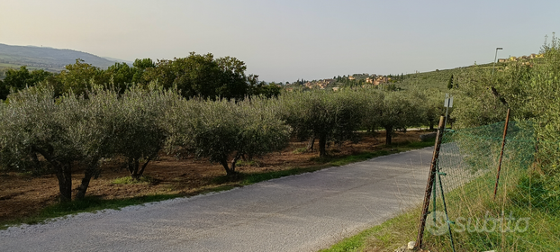 Terreno edificabile Frazione di Trevi (PG)