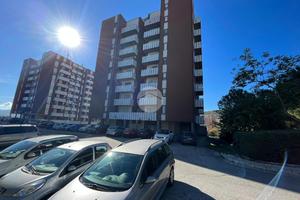 4 LOCALI A CAMPOBASSO