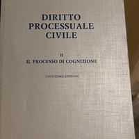 DIRITTO PROCESSUALE CIVILE luiso