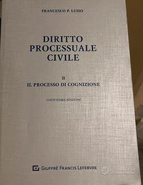 DIRITTO PROCESSUALE CIVILE luiso