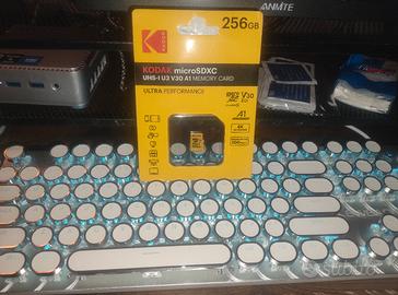 memoria ssd da 256 gb