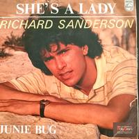 Collezione anni 80: Richard sanderson she's a lady