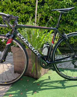 BDC Colnago