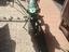 Immagine 2