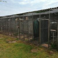 Voliera in acciaio inox