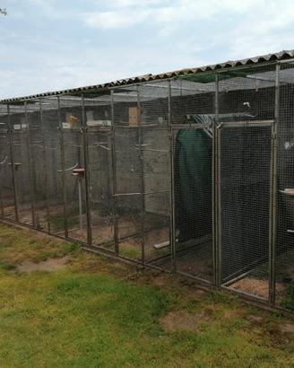 Voliera in acciaio inox