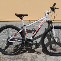 MTB sycamore ruote 26