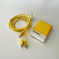 POWERBANK PANTONE + CAVO ADATTATORE MULTIPLI