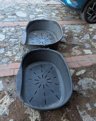 Cucce per cani.