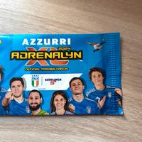 figurine panini 