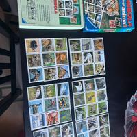 Tombola degli animali