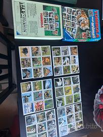 Tombola degli animali