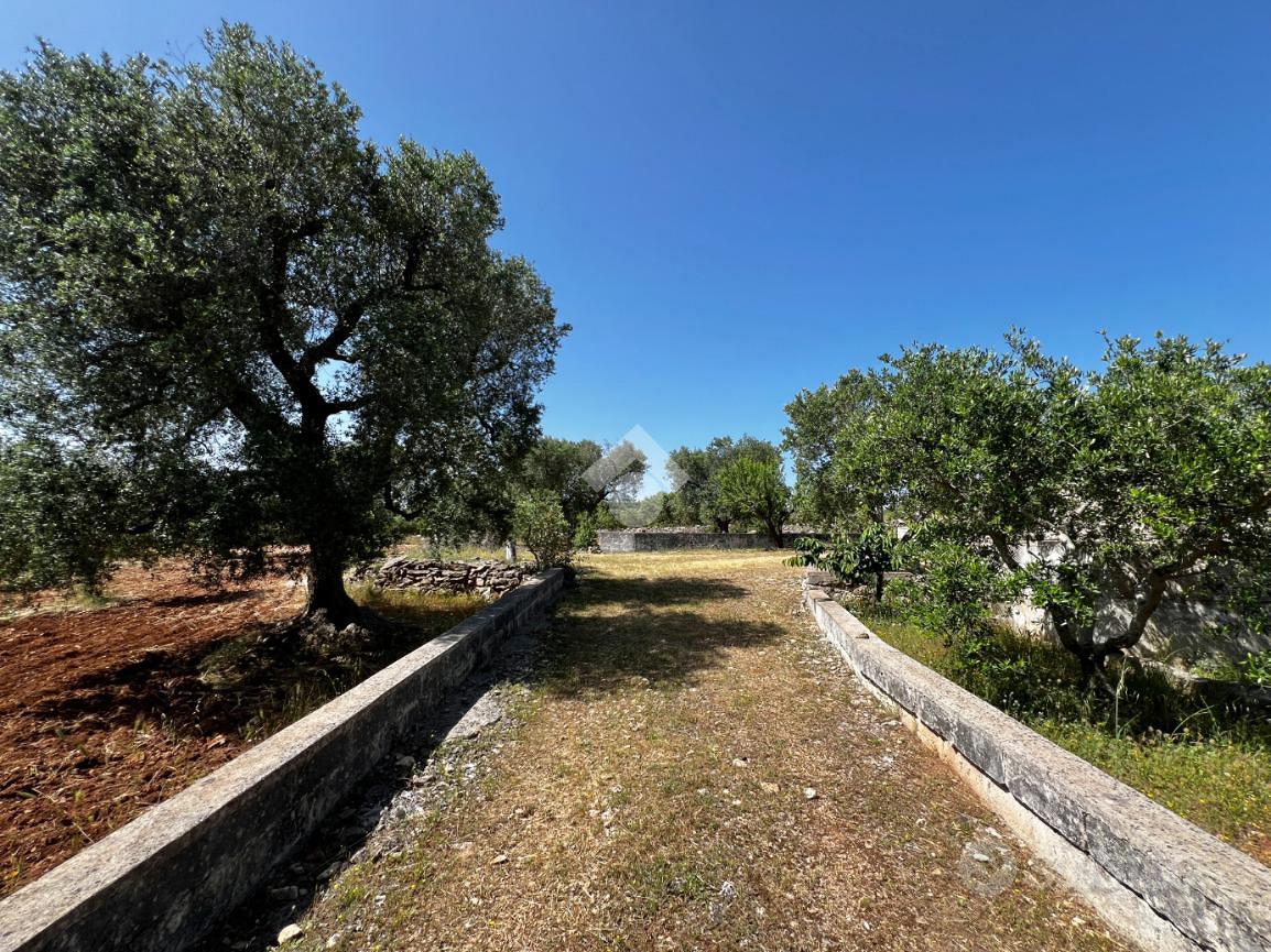 RUSTICO A MARTINA FRANCA - Vista 3