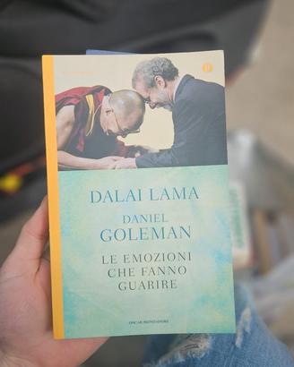 Le emozioni che fanno guarire - Dalai Lama