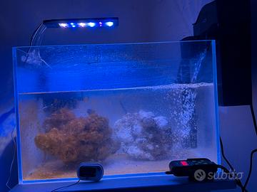 acquario marino 30L