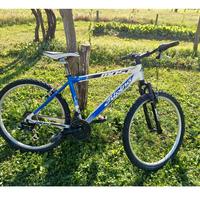 Bicicletta Alpina 