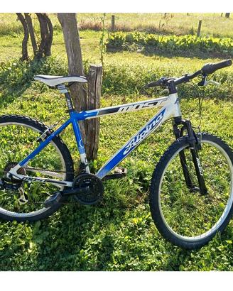 Bicicletta Alpina 