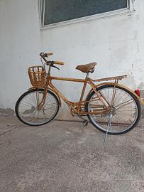 biciclette uomo-donna, con telaio in Bamboo. 