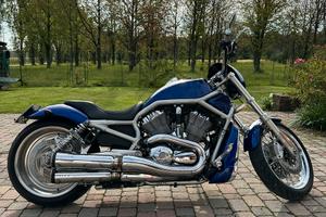 Harley Davidson V Rod Custom