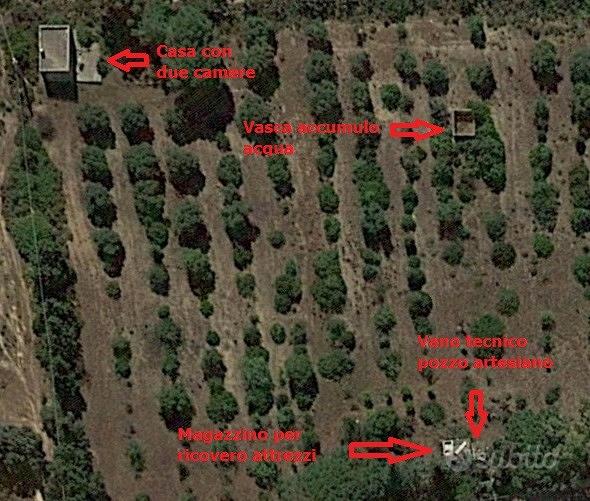 Terreno di 20.000 mq con rustico e magazzino - Vista 5