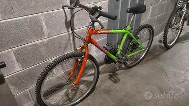 Atala flyer 2420