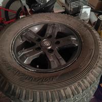 cerche e gomme off road