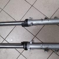 Coppia steli pompamte honda hornet 600 anno 2003/2