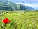 ter-residenziale-a-brentino-belluno