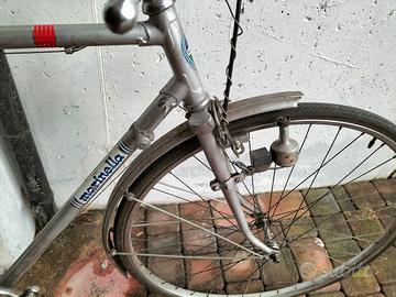 Bici da passeggio 