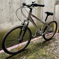 Mountainbike Silvestar 24” pari al nuovo