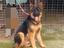 Immagine 1