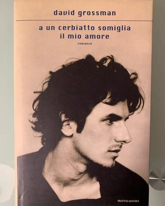 A un cerbiatto somiglia il mio amore | D. Grossman
