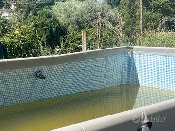 Piscina intex