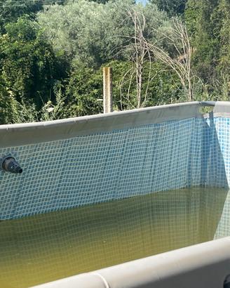 Piscina intex