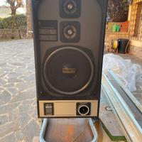 Diffusori Dansk Hi Fi