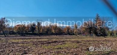 Terreno edificabile 11.000 mq pianeggiante