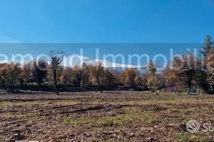 Terreno edificabile 11.000 mq pianeggiante