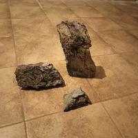 pietre acquario iwagumi