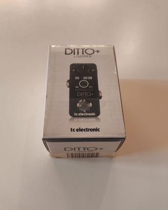 TC Electronic Ditto+ Looper (Pari al nuovo)