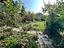 Immagine 27