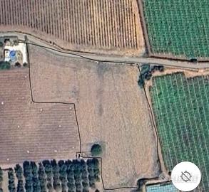 Terreno Agricolo