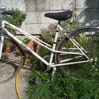 Bici da donna "Bottecchia"