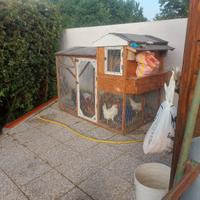 Pollaio fatto a mano con 6 ovaiole