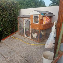 Pollaio fatto a mano con 6 ovaiole
